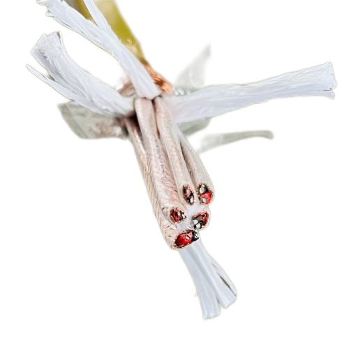 SkyBet��ա�(�й���)�����������ٷ�