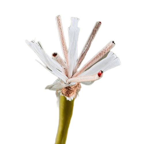 SkyBet天空·(中国区)体育中文网官方