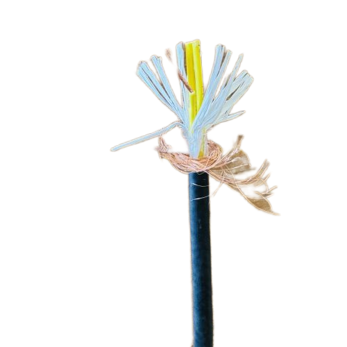 SkyBet��ա�(�й���)�����������ٷ�