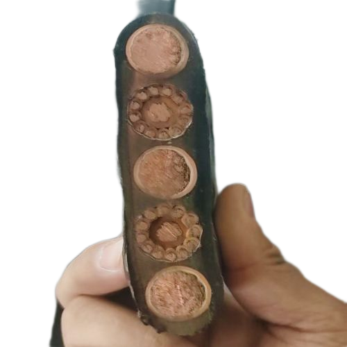 SkyBet��ա�(�й���)�����������ٷ�