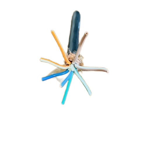 SkyBet��ա�(�й���)�����������ٷ�