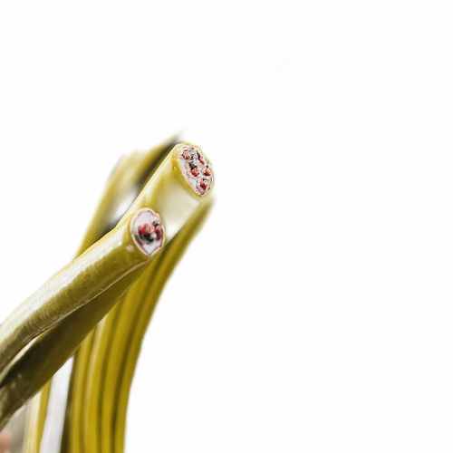 SkyBet��ա�(�й���)�����������ٷ�