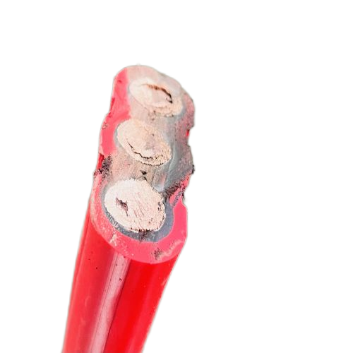 SkyBet��ա�(�й���)�����������ٷ�