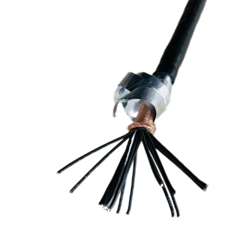 SkyBet天空·(中国区)体育中文网官方