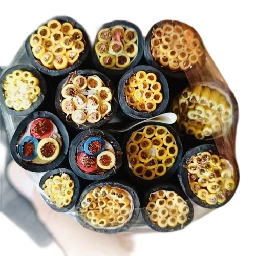 SkyBet天空·(中国区)体育中文网官方