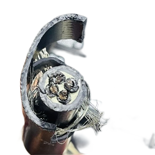 SkyBet��ա�(�й���)�����������ٷ�