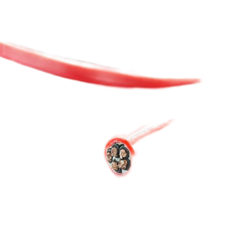 SkyBet��ա�(�й���)�����������ٷ�