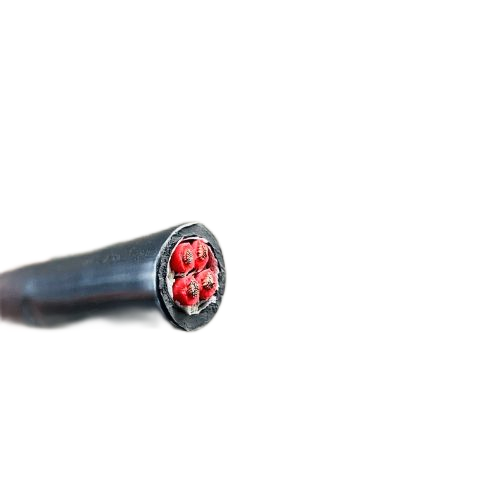 SkyBet��ա�(�й���)�����������ٷ�