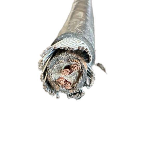 SkyBet��ա�(�й���)�����������ٷ�