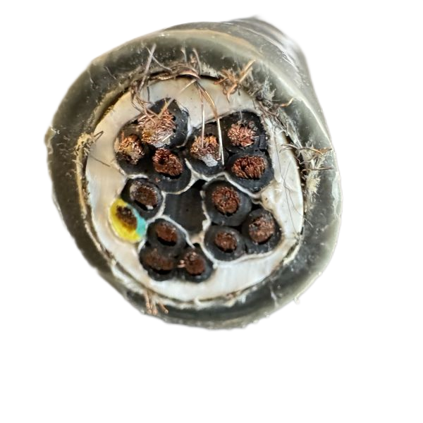 SkyBet��ա�(�й���)�����������ٷ�