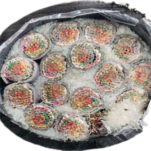 SkyBet��ա�(�й���)�����������ٷ�