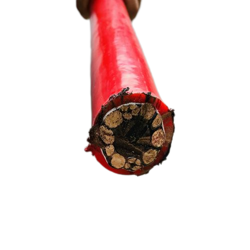 SkyBet��ա�(�й���)�����������ٷ�