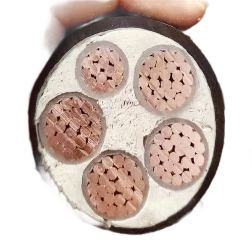 SkyBet��ա�(�й���)�����������ٷ�