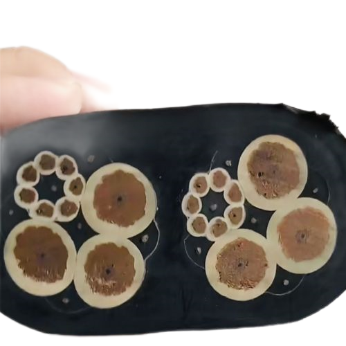 SkyBet��ա�(�й���)�����������ٷ�