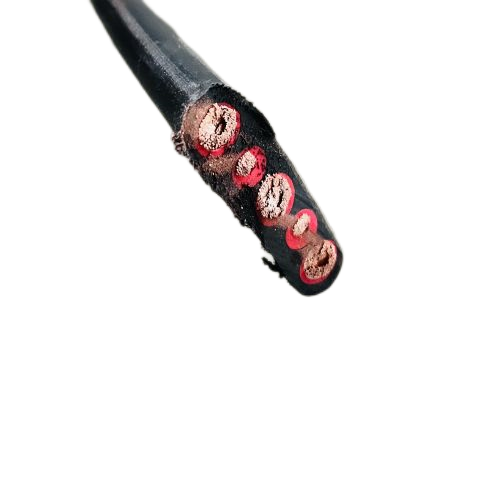 SkyBet��ա�(�й���)�����������ٷ�