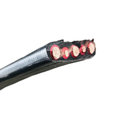 SkyBet��ա�(�й���)�����������ٷ�