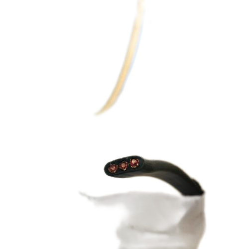 SkyBet天空·(中国区)体育中文网官方