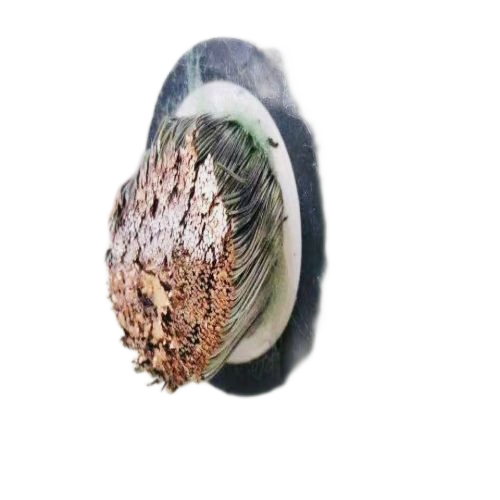 SkyBet天空·(中国区)体育中文网官方