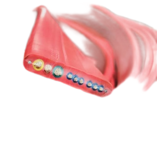 SkyBet天空·(中国区)体育中文网官方