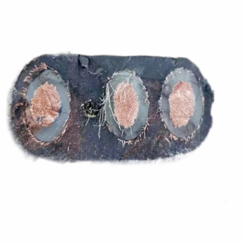 SkyBet天空·(中国区)体育中文网官方