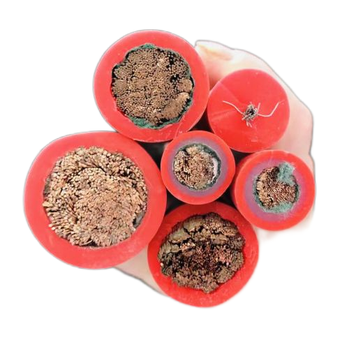 SkyBet天空·(中国区)体育中文网官方