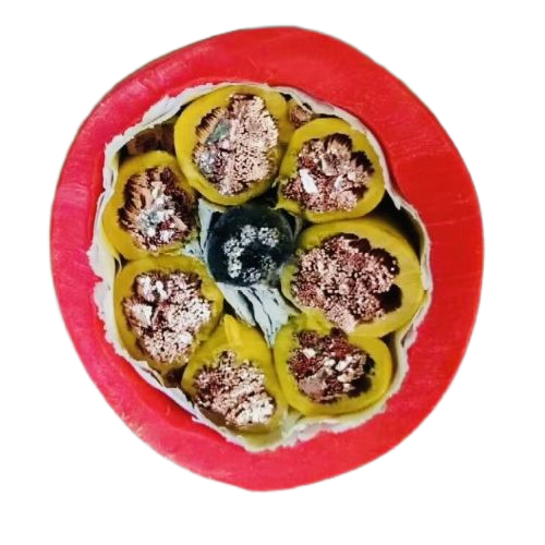 SkyBet天空·(中国区)体育中文网官方