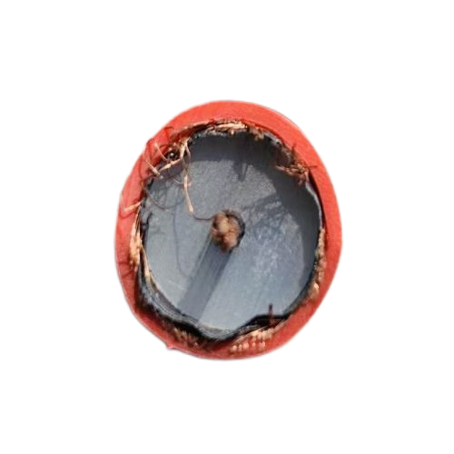 SkyBet天空·(中国区)体育中文网官方