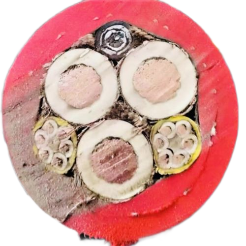 SkyBet天空·(中国区)体育中文网官方