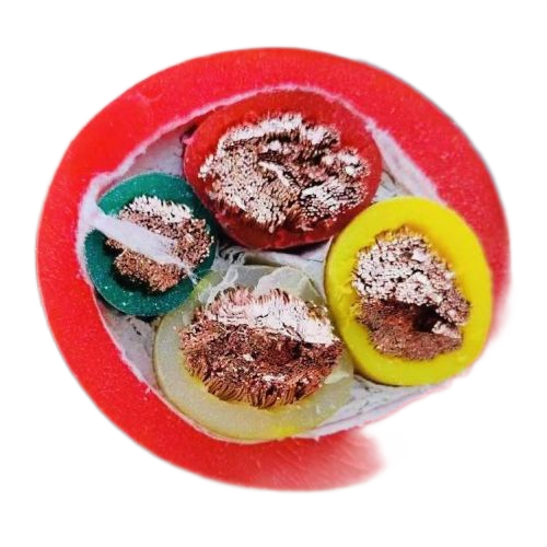 SkyBet天空·(中国区)体育中文网官方