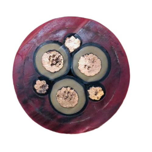 SkyBet天空·(中国区)体育中文网官方